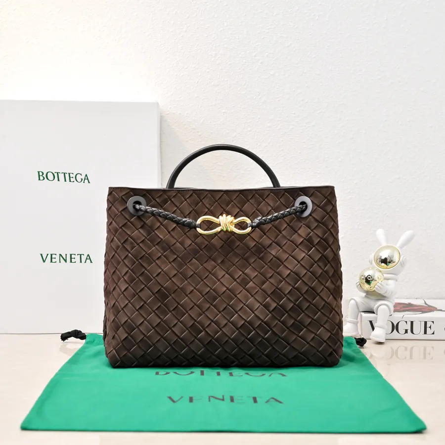 Bottega Veneta New Andiamo Bucket Bag
