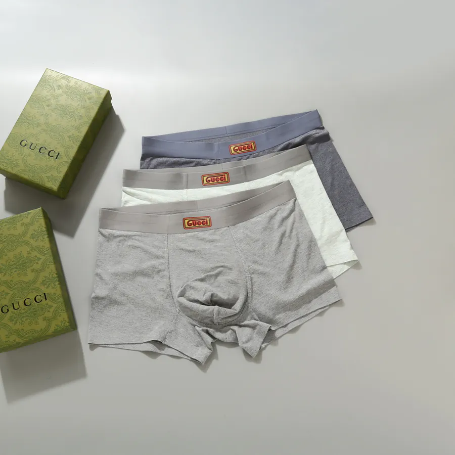 GUCCI Men's Briefs in Premium Box - L-XXXL